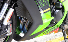 KAWASAKI NINJA ZX-10R KRT ED 2020 ZXT02E