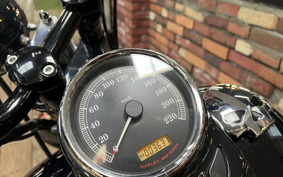 HARLEY FLSTSB 2009 JM5