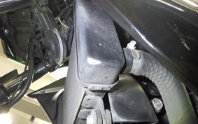 KAWASAKI Z300 2022