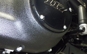 HARLEY FXLRST1920 2023