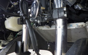 KAWASAKI NINJA 250 EX250Y