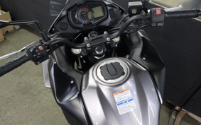 KAWASAKI VERSYS-X 250 ABS LE250D