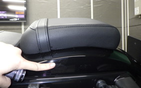 HARLEY RH975 2022