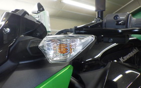 KAWASAKI Z250 Gen.2 2026 EX250Y