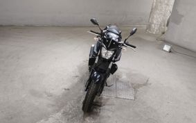 YAMAHA MT-25 RG10J