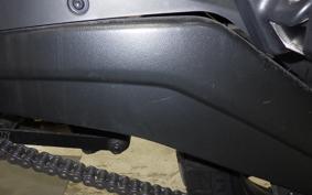 HARLEY ﾊﾟﾝ AMERICA1250 2021