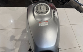 HARLEY X500 2023 W5B