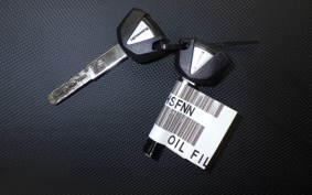 KAWASAKI NINJA1100SX 2025 ZXT10H