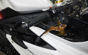 TRIUMPH DAYTONA 675 R 2015