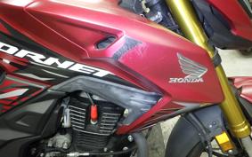 HONDA HORNET 2.0