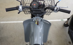 SUZUKI BIRDIE 50 BA42A