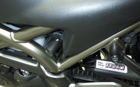 SUZUKI SV650 A 2024 VP55E