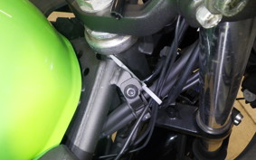 KAWASAKI NINJA 250 2009 EX250P