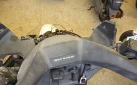 SUZUKI SKYWAVE 250 (Burgman 250) CJ42A