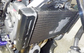 HONDA HORNET 250 1993 MC31