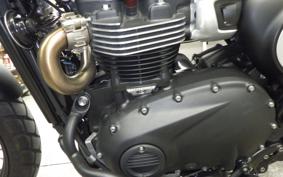 TRIUMPH SCRAMBLER 900 2025