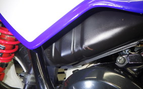 YAMAHA PW50 2021 3PT