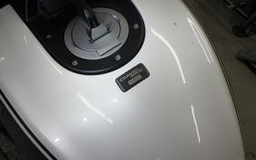 DUCATI DIAVEL AMG 2013