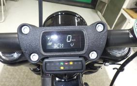 HARLEY FXBB1750 2020