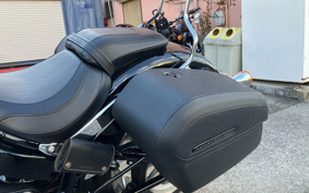 HARLEY FLFBS 2021 YGK