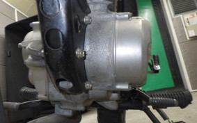HONDA APE 100 2019 HC07