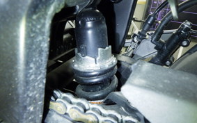 KAWASAKI Z250 2018 ER250C