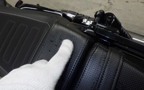 HARLEY RH975S 2024