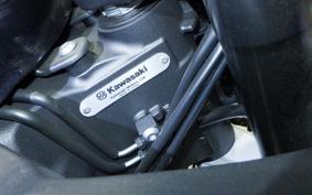 KAWASAKI NINJA 1000 SX 2023 ZXT02K