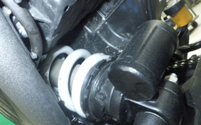 TRIUMPH SPEED400 2024