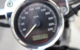 HARLEY XL1200C 2008 CT3