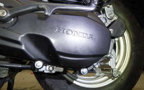 HONDA TACT Basket 2023 AF79