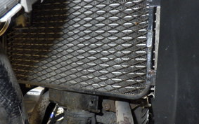 SUZUKI GSX250 R 2025