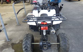 OTHER +UNREGISTERED MODEL by BDS50