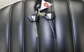 KAWASAKI W800 2024 EJ800E