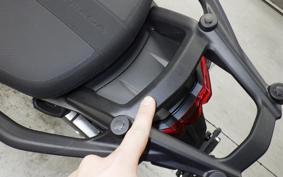 DUCATI MULTISTRADA V4S 2025