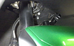 KAWASAKI ZX 1400 NINJA R A 2019