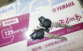 YAMAHA N-MAX 2013 SE86J