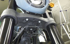 HARLEY FXLRS1920 2024