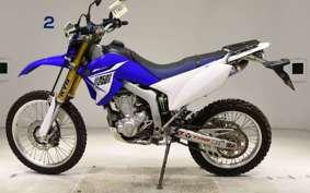 YAMAHA WR250R 2021 DG15J