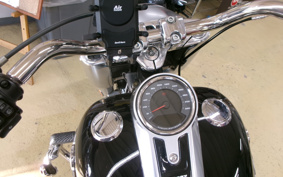 HARLEY FLFBS 2018 YGK