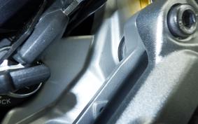 BMW G310R 2023