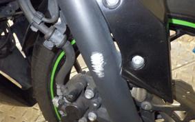 KAWASAKI NINJA 250 SL 2007 BX250A