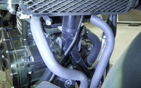 SUZUKI Vｽﾄﾛｰﾑ250 2018