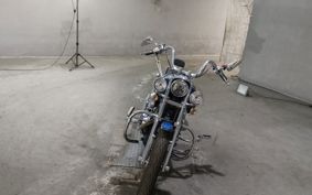 HARLEY FXDL-I 1450 2007 GNW