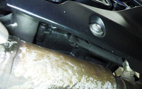 KAWASAKI Z250 SL 2021 BR250E