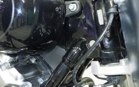 HARLEY FLBS 1870 2019