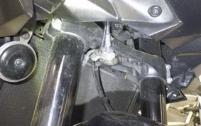 KAWASAKI ZH2 2021 ZRT00K