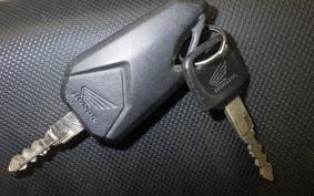 HONDA ｸﾞﾛﾑ JC75