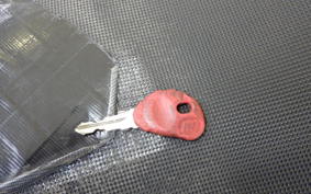 MALAGUTI PHANTOM MAX250 2021