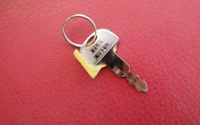 HONDA LEAD 50 SS Type AF10